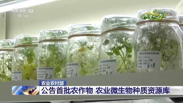 农业农村部公告首批农作物、农业微生物种质资源库