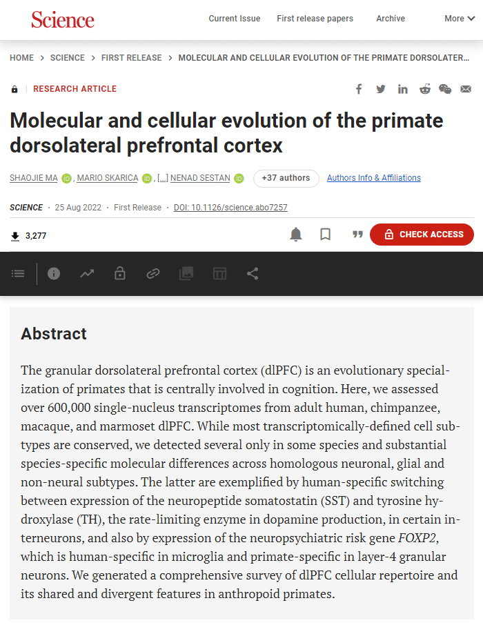 耶鲁科学家找到了人类大脑前额叶皮层区域的独有特征